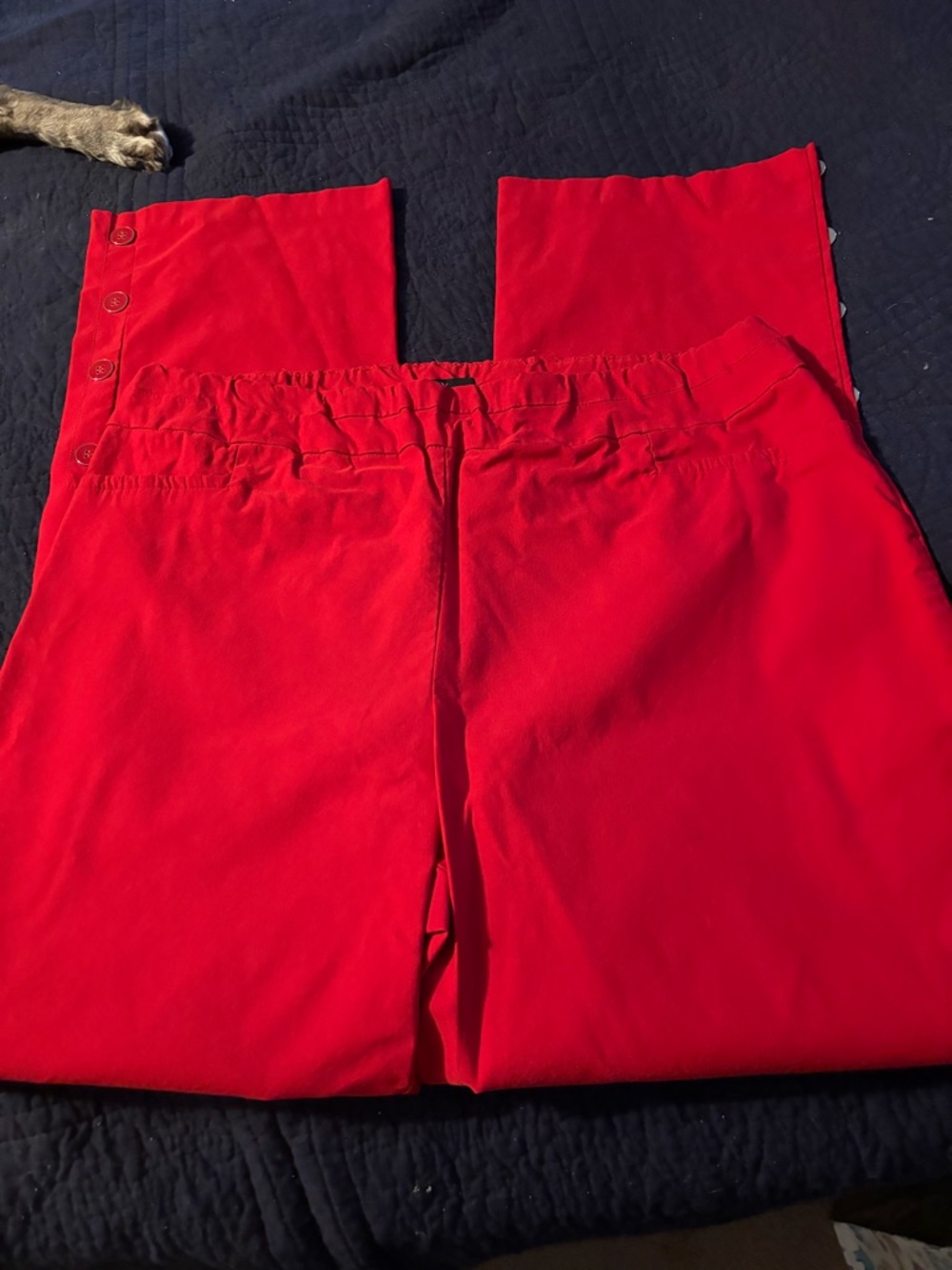 New York & Company Red Boot Cut Pants